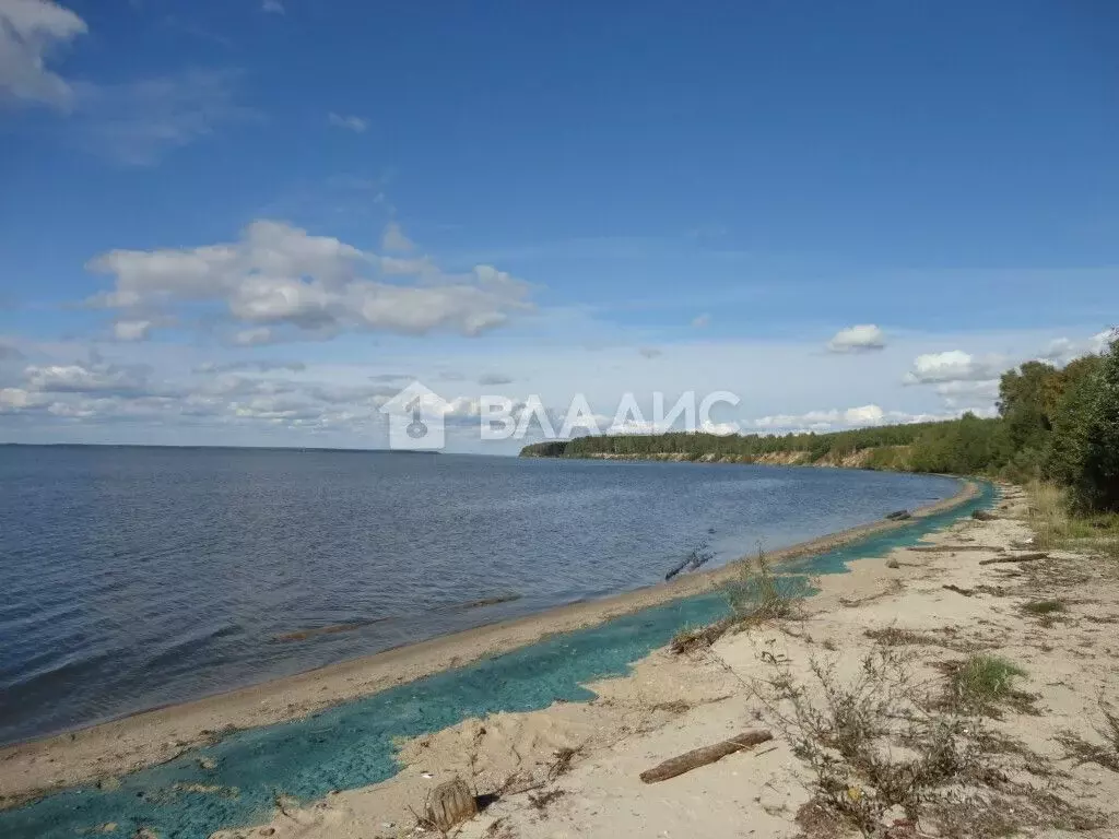 Участок в Нижегородская область, Сокольский городской округ, д. ... - Фото 0