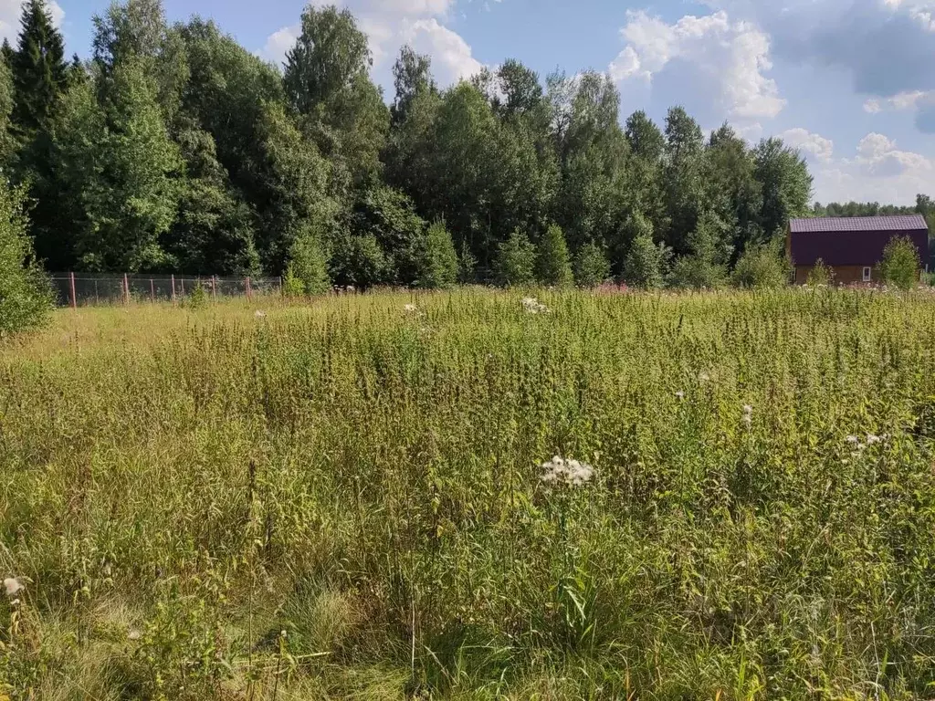 Участок в Московская область, Сергиево-Посадский городской округ, д. ... - Фото 1