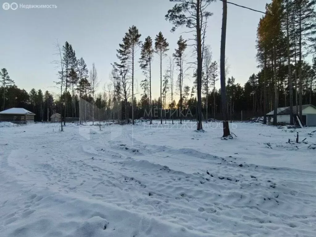 Участок в Нижнетавдинский район, село Тюнево (17 м) - Фото 1