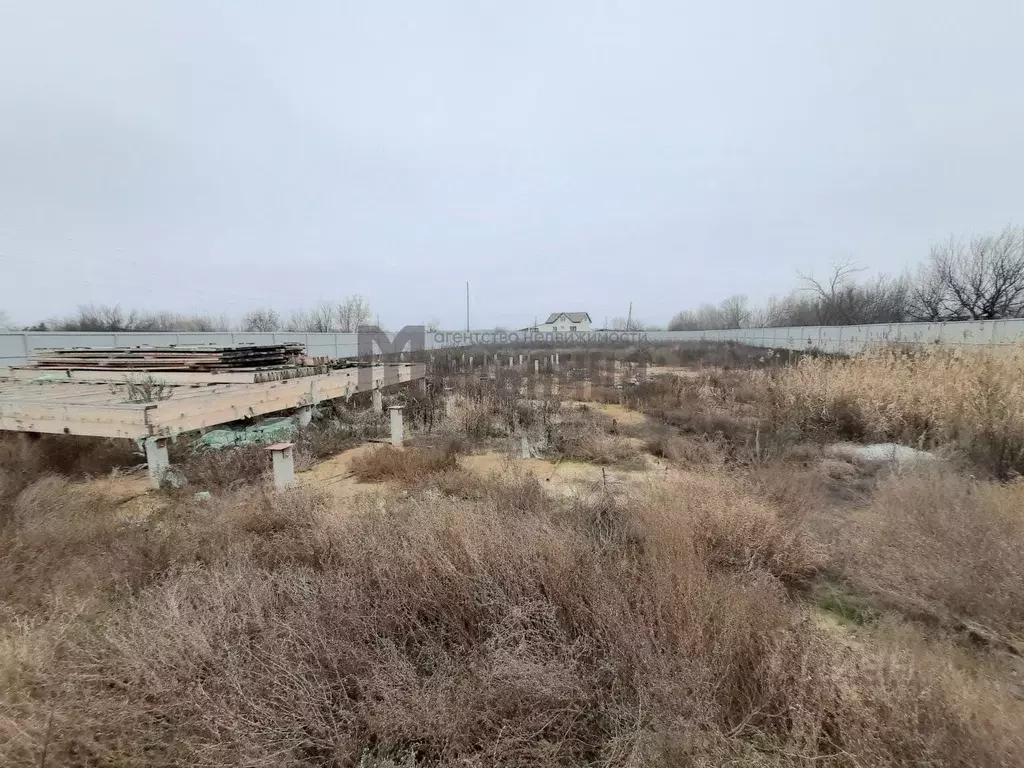 Участок в Волгоградская область, Среднеахтубинский район, Куйбышевское ... - Фото 2