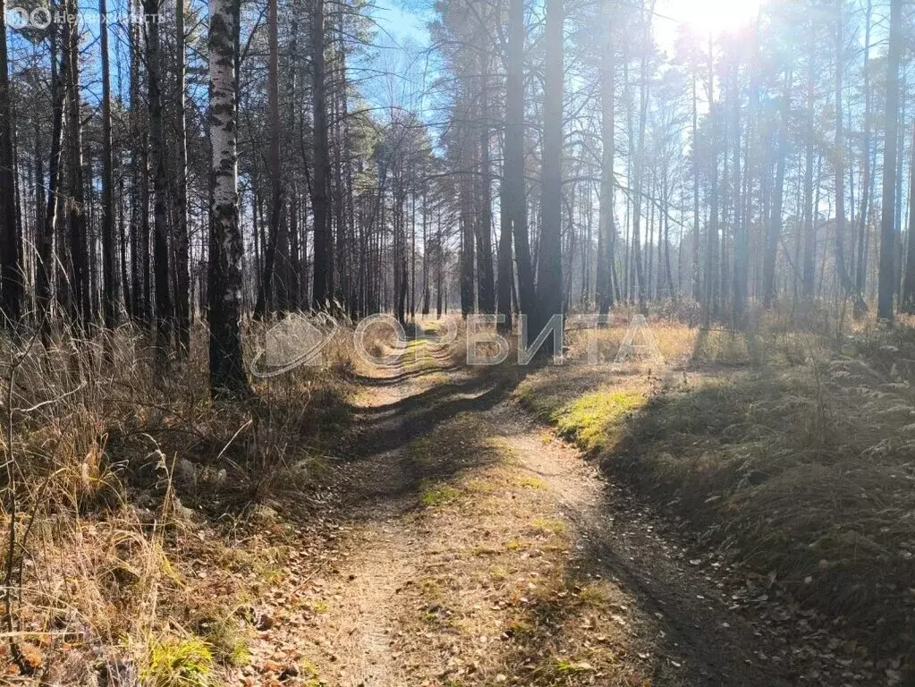 Участок в Тюменский муниципальный округ, деревня Речкина (19.69 м) - Фото 2