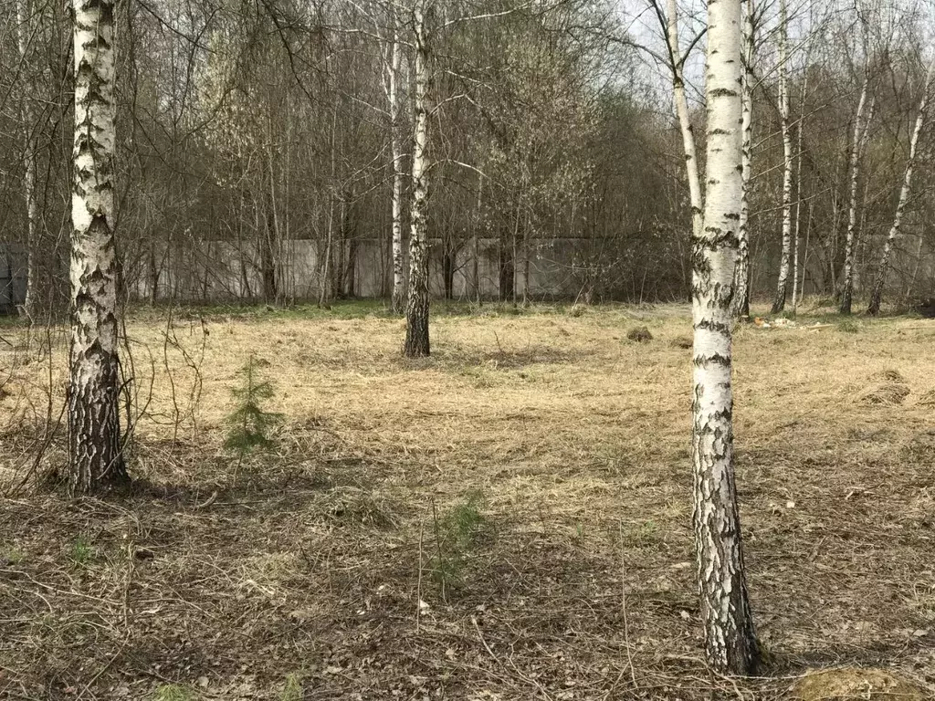 Участок в Москва д. Сахарово,  (14.75 сот.) - Фото 2