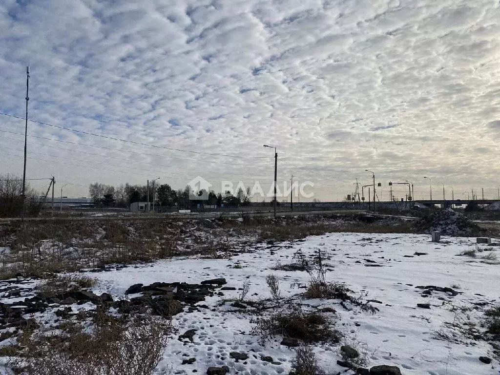 Продается дом в с. Нижнее Хорошово - Фото 2