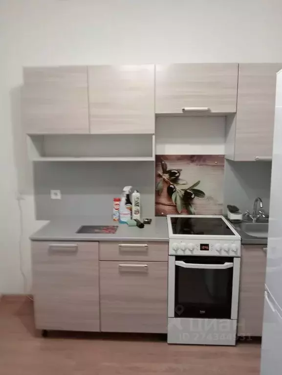 1-к кв. Ленинградская область, Мурино Всеволожский район, ул. ... - Фото 2