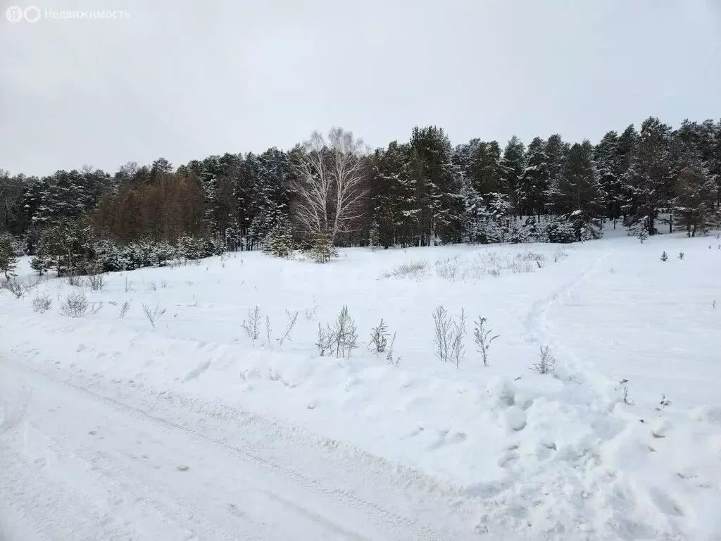 Участок в Миасс, ОНТ Русское Поле (102 м) - Фото 1