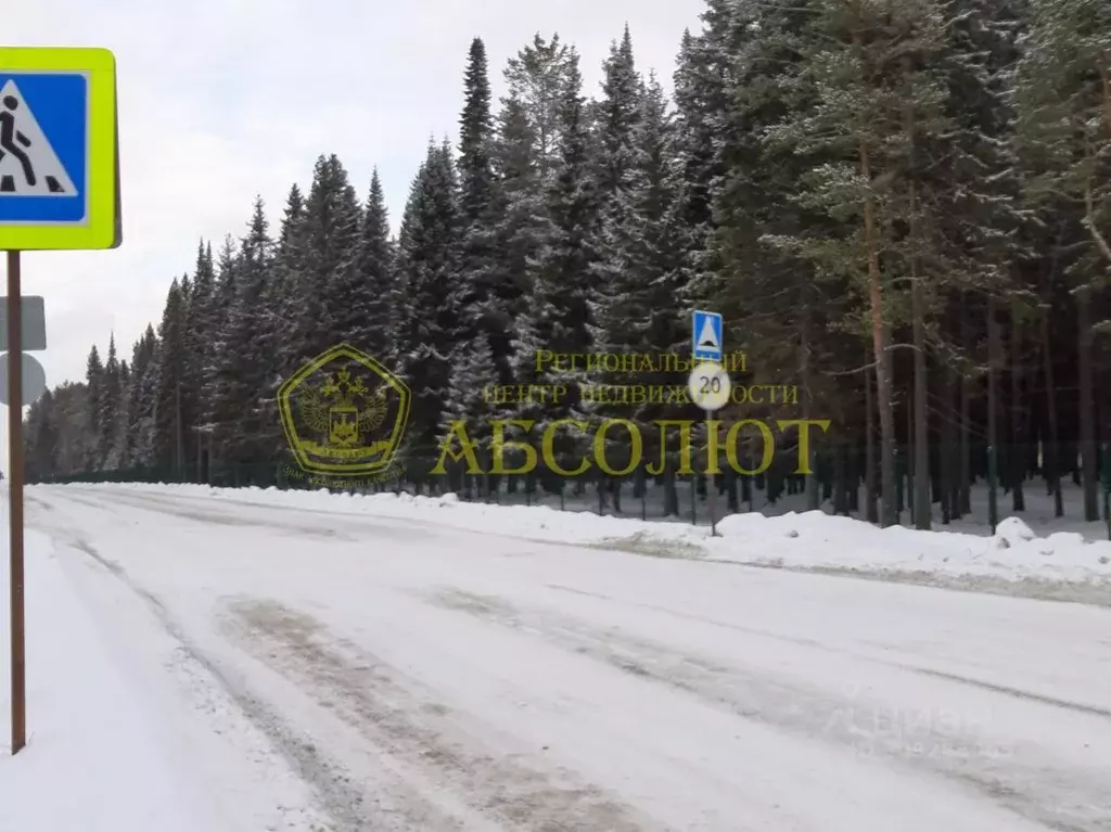 Участок в Свердловская область, Ревда городской округ, с. Мариинск ул. ... - Фото 1