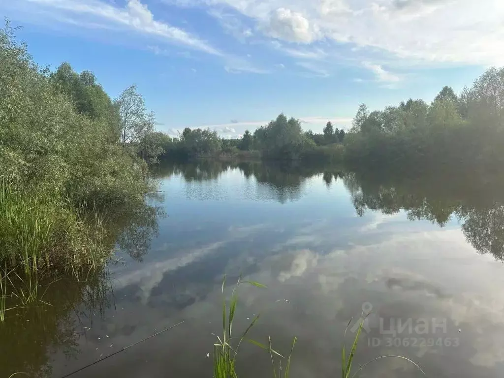 Участок в Нижегородская область, Арзамас городской округ, с. ... - Фото 1