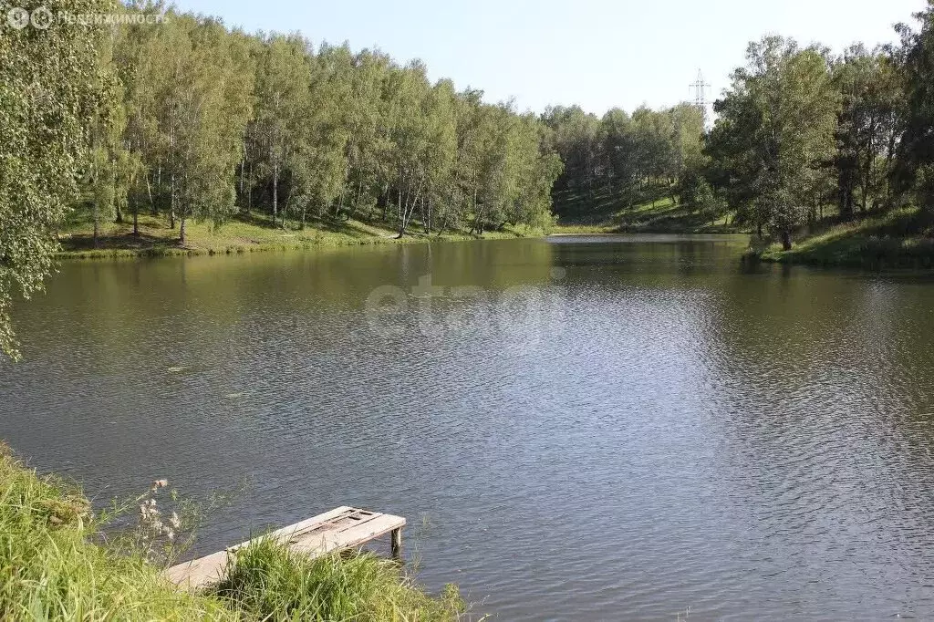 Дом в Мошковский район, СТ Полёт-1, Еловая улица (24 м) - Фото 0