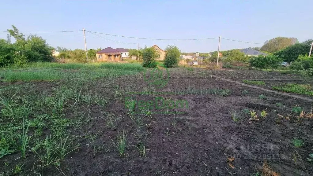 Участок в Белгородская область, Строитель Яковлевский городской округ, ... - Фото 0