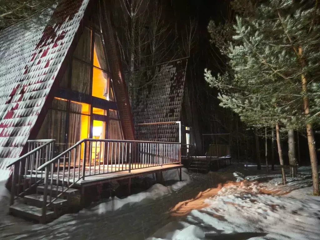 Дом в Нижегородская область, Шатковский муниципальный округ, с. ... - Фото 1