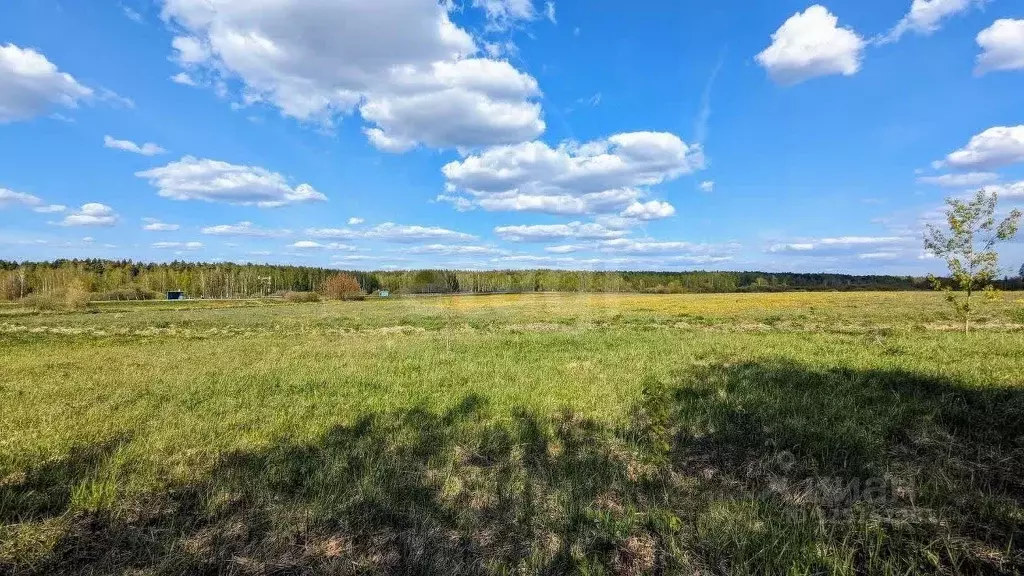 Участок в Московская область, Щелково городской округ, д. Большие ... - Фото 1