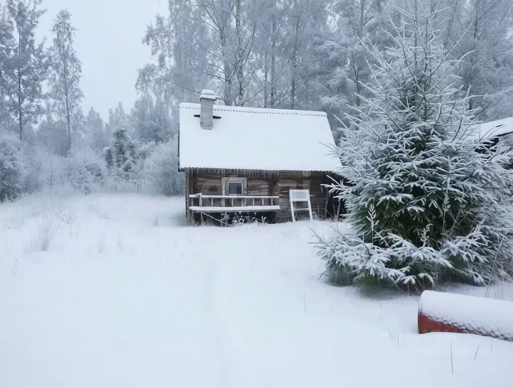 Дом в Ленинградская область, Киришский район, Кусинское с/пос, ... - Фото 1