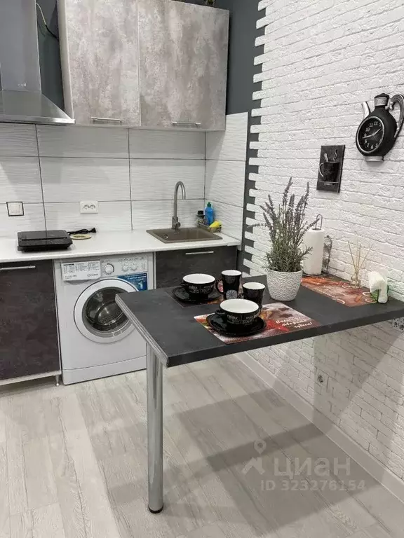 Студия Краснодарский край, Сочи ул. Полтавская, 32/1 (25.0 м) - Фото 2