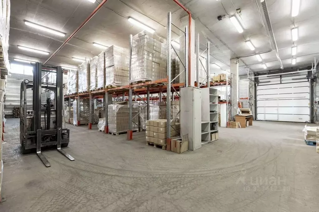 Склад в Санкт-Петербург, Санкт-Петербург, Пушкин Автомобильная ул., ... - Фото 1