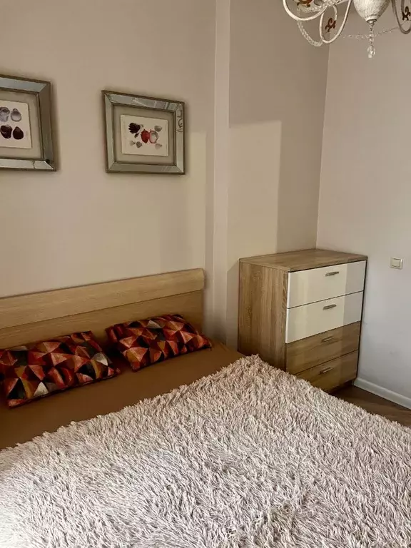 2-к кв. Смоленская область, Смоленск Большая Советская ул., 33 (44.0 ... - Фото 2