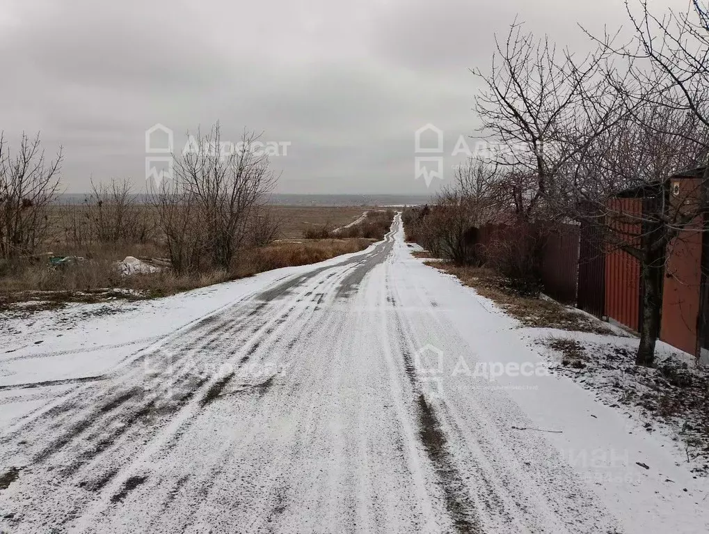 Участок в Волгоградская область, Светлоярский район, Червленовское ... - Фото 1