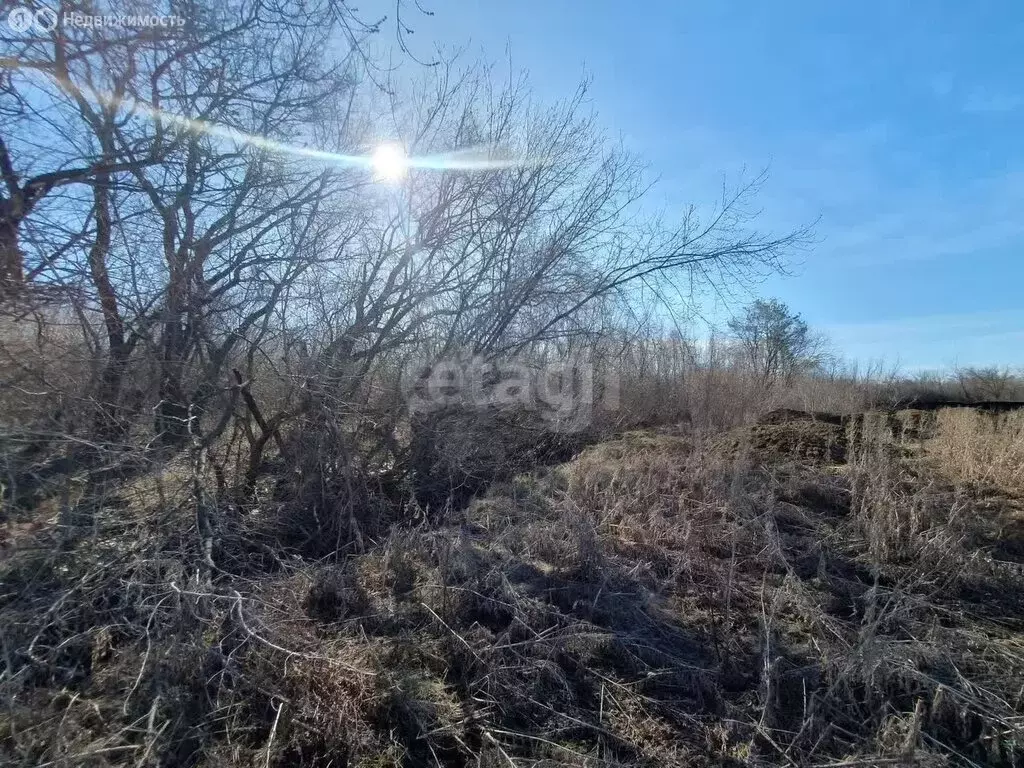 Участок в Миасское, улица Павлуцкого (8.44 м) - Фото 2