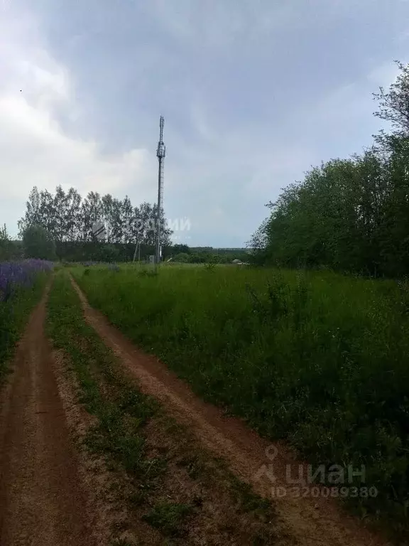 Участок в Чувашия, Чебоксарский муниципальный округ, д. Сархорн  (9.0 ... - Фото 1