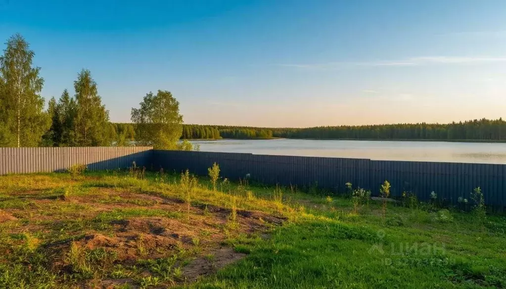 Участок в Московская область, Дмитровский муниципальный округ, д. ... - Фото 1