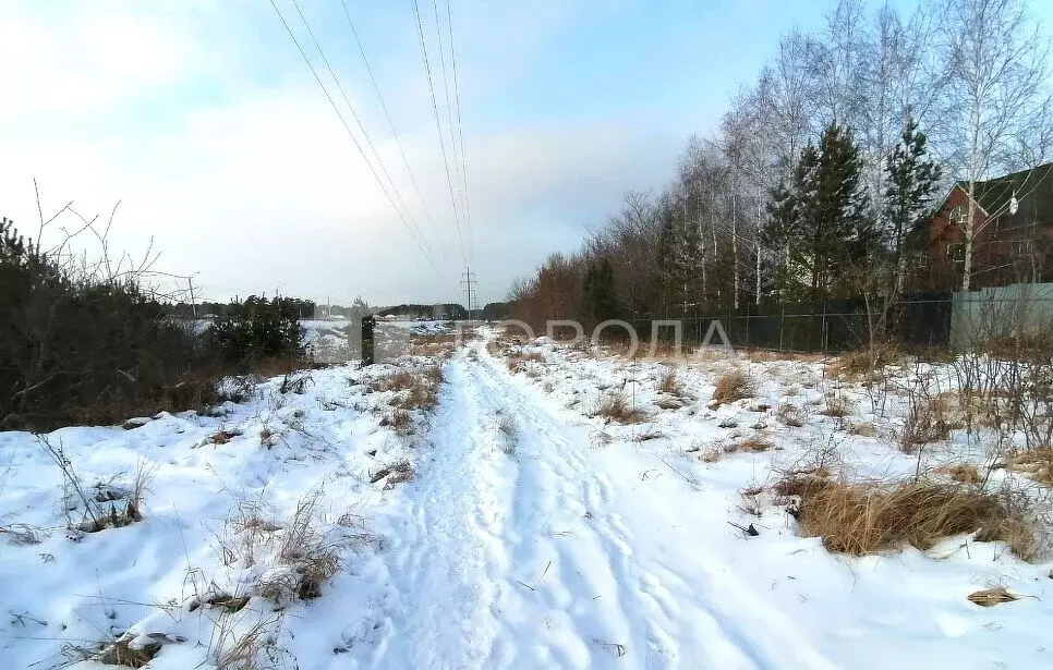 Участок в Новосибирский район, Кудряшовский сельсовет, садоводческое ... - Фото 1