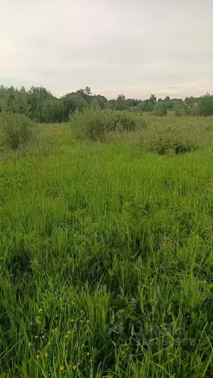 Участок в Владимирская область, Собинский муниципальный округ, с. ... - Фото 1