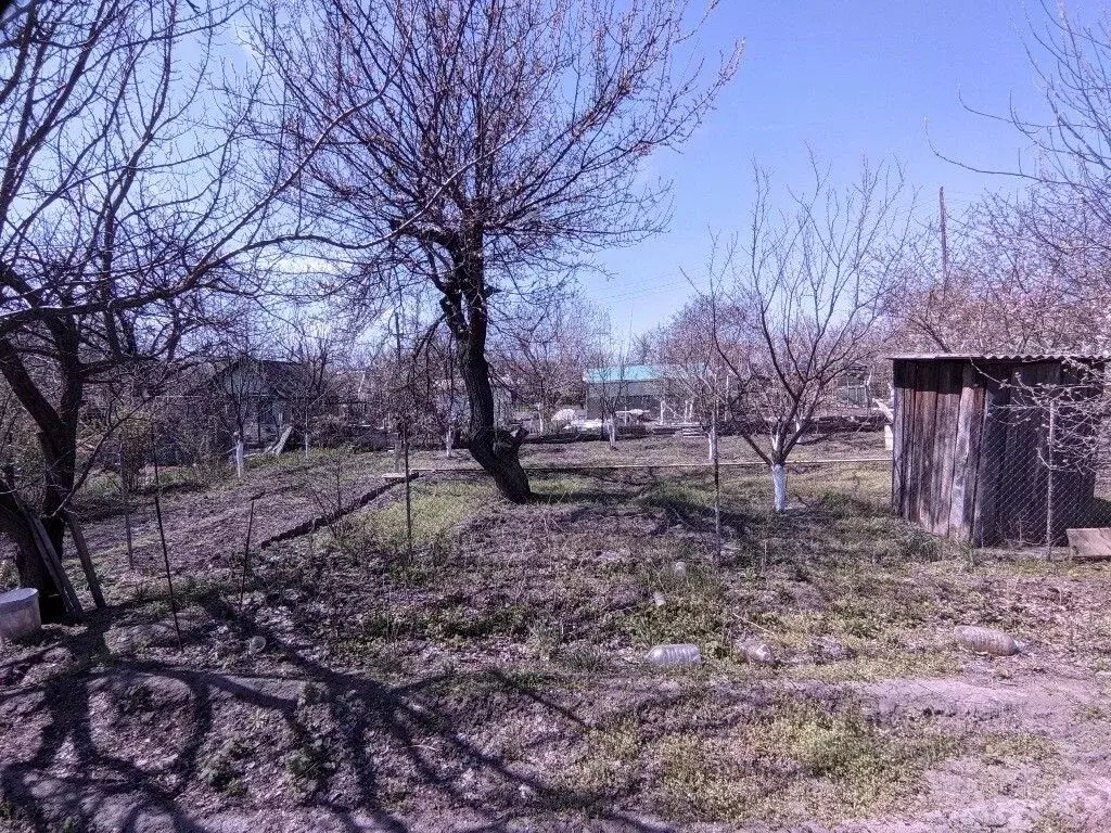 Дом в Ростовская область, Белая Калитва БКМПО-1 садоводческое ... - Фото 1