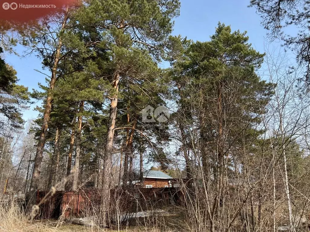 Участок в село Морозово, Лесная улица, 22 (42.1 м) - Фото 1
