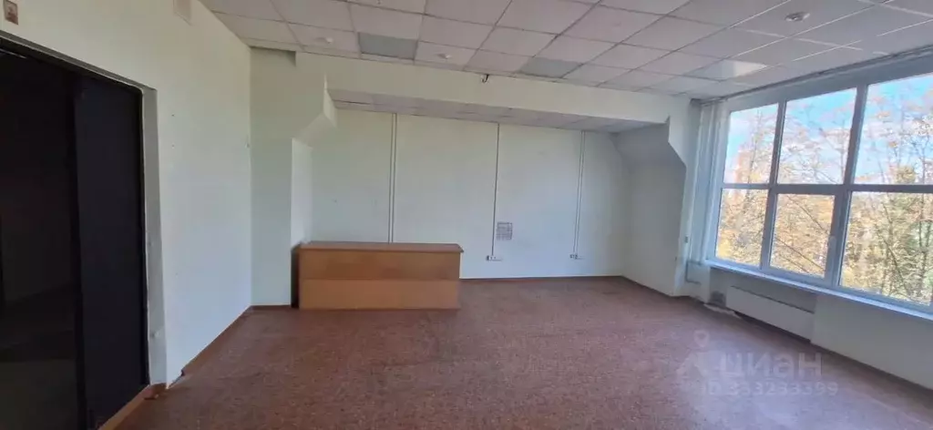 Офис в Белгородская область, Белгород ул. Королева, 2Ак3 (41 м) - Фото 1