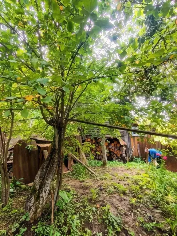 Дом в Чувашия, Чебоксары Ивушка СНТ,  (28 м) - Фото 1