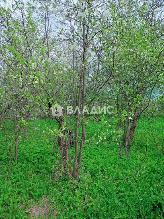 Участок в Владимир, сад № 2 завода Автоприбор, 2 (6.8 м) - Фото 2