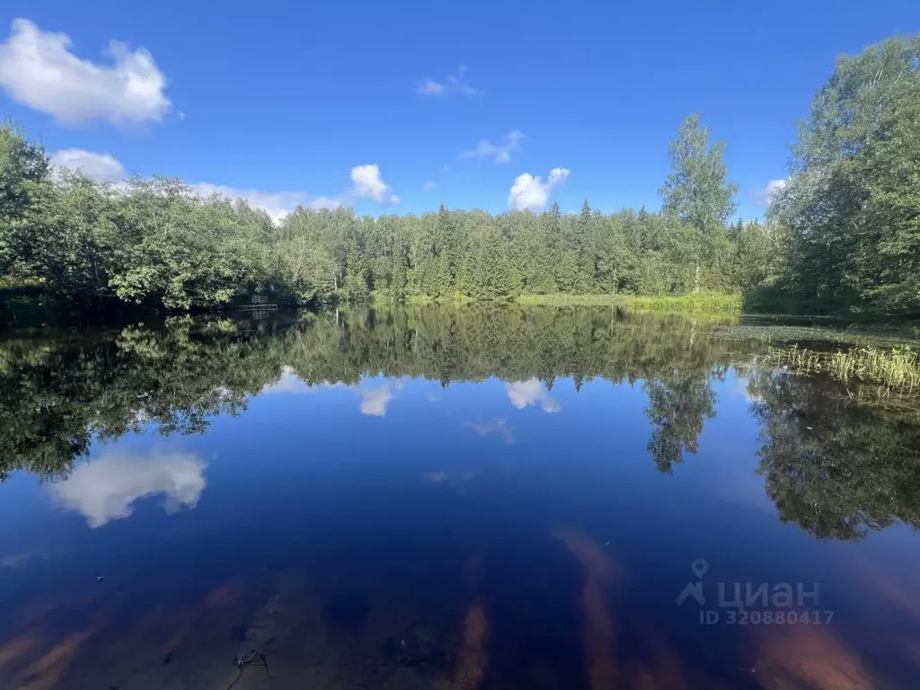 Дом в Московская область, Солнечногорск городской округ, д. Повадино  ... - Фото 0