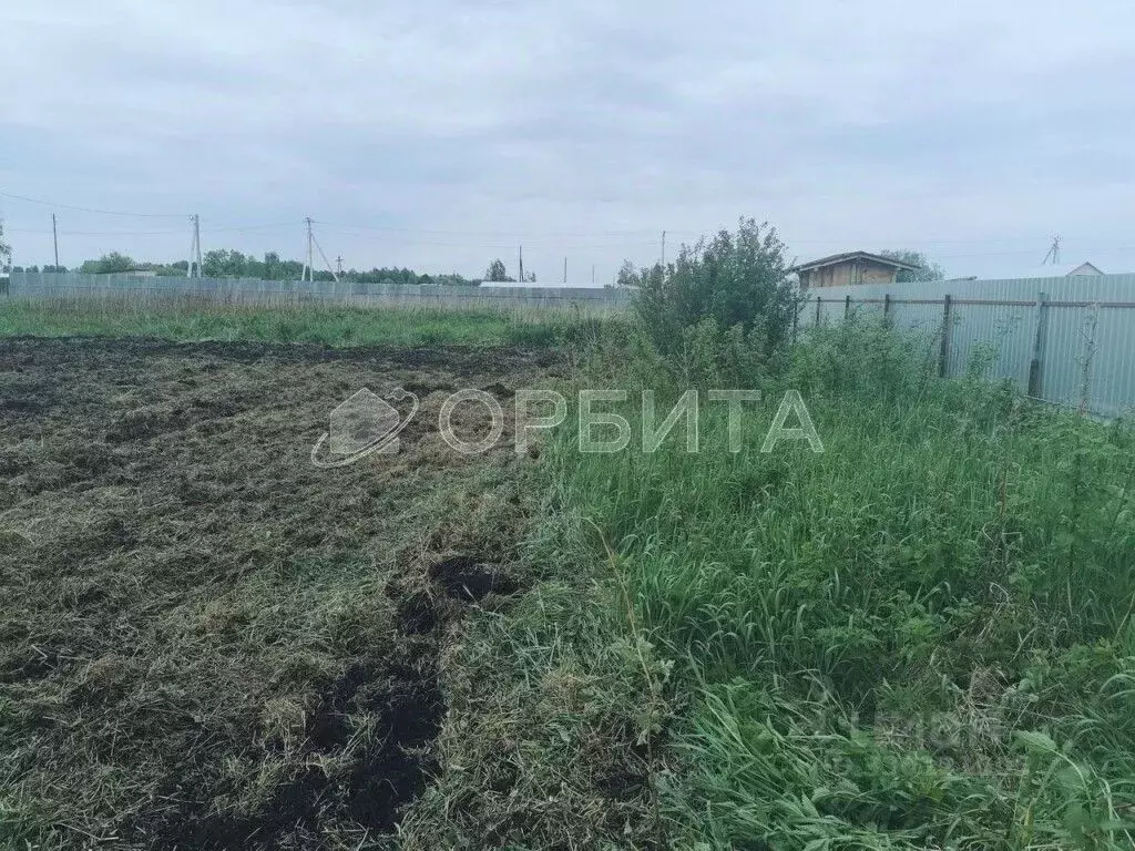 Участок в Тюменская область, Нижнетавдинский муниципальный округ, ... - Фото 2