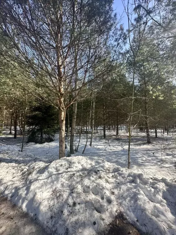 Участок в Московская область, Красногорск городской округ, Нахабино ... - Фото 1