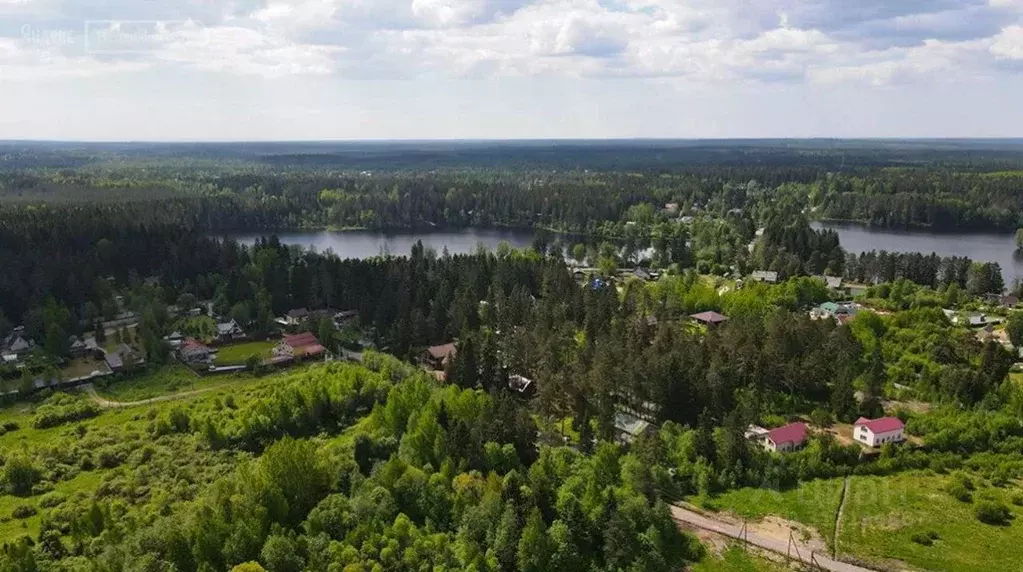 Участок в Ленинградская область, Выборгский район, Рощинское городское ... - Фото 1