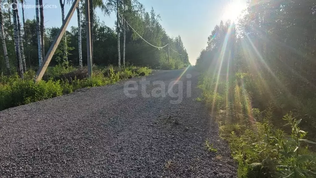 Участок в Череповец, Никольская улица (8 м) - Фото 0