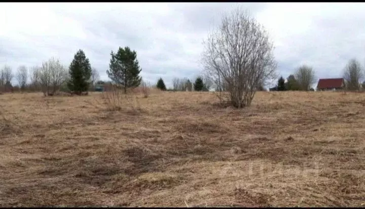 Участок в Вологодская область, Бабушкинский муниципальный округ, д. ... - Фото 2