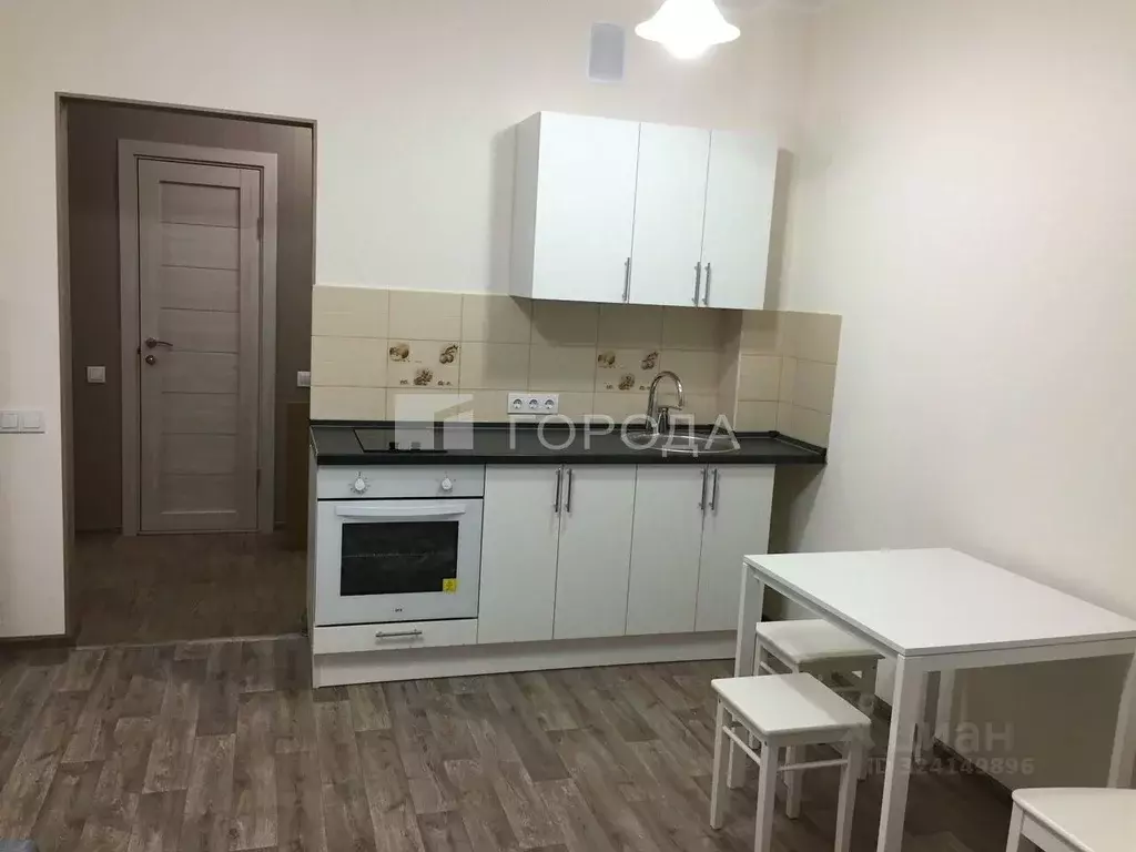 Студия Новосибирская область, Новосибирск Сибирская ул., 42 (29.0 м) - Фото 1