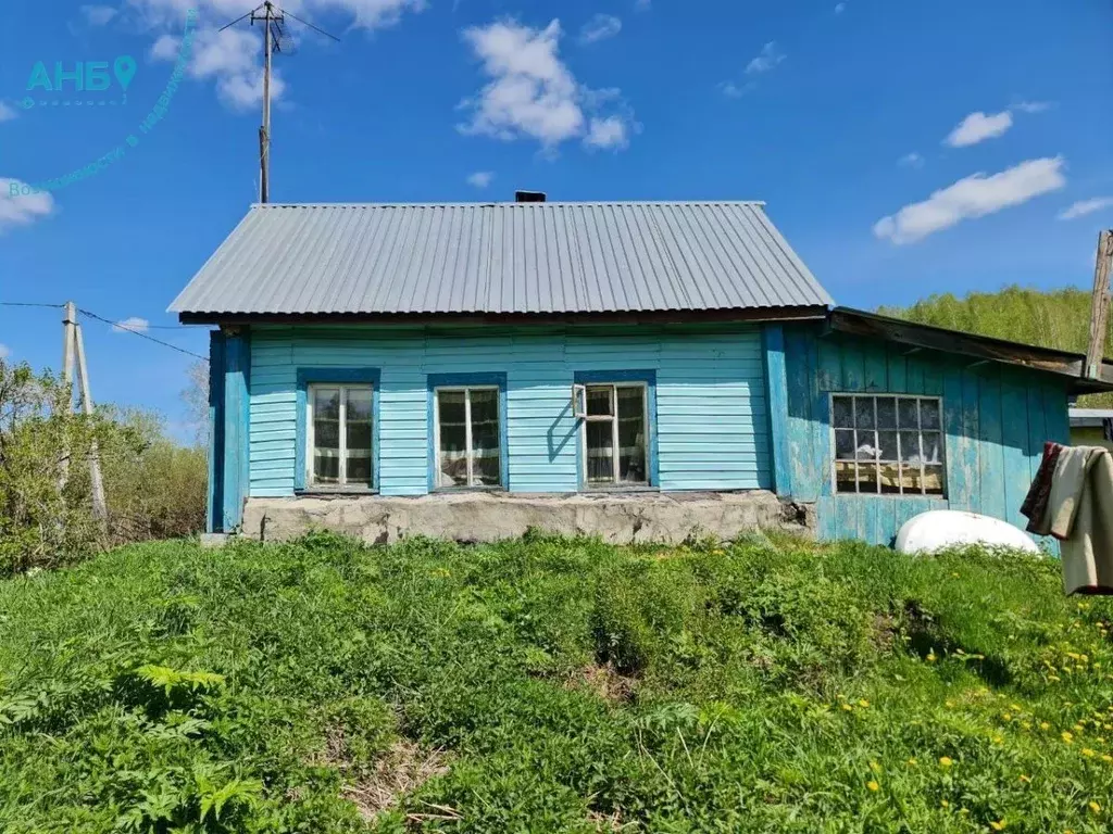 Дом в Новосибирская область, Новосибирский район, Раздольненский ... - Фото 0