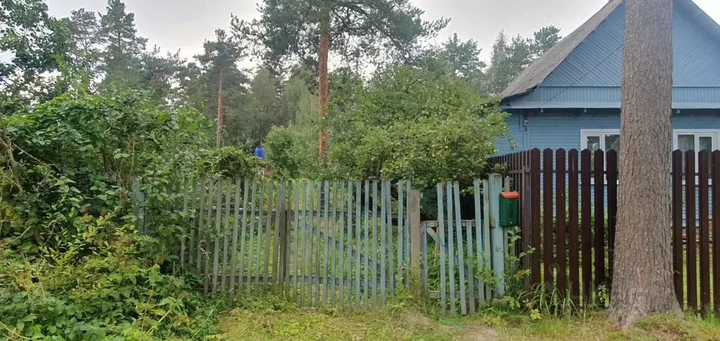 участок в ленинградская область, гатчинский район, вырица городской . - Фото 1