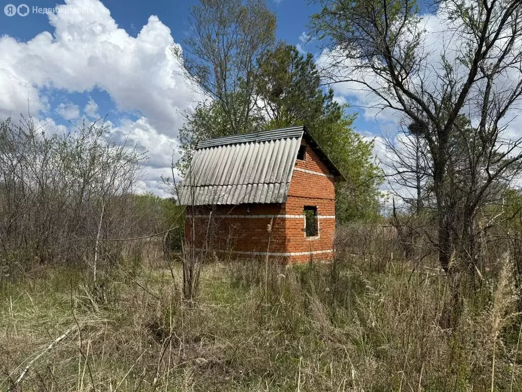 Дом в Амурская область, Белогорский муниципальный округ, село ... - Фото 1