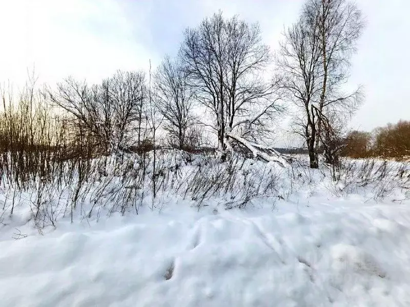 Участок в Московская область, Талдомский городской округ, д. ... - Фото 1