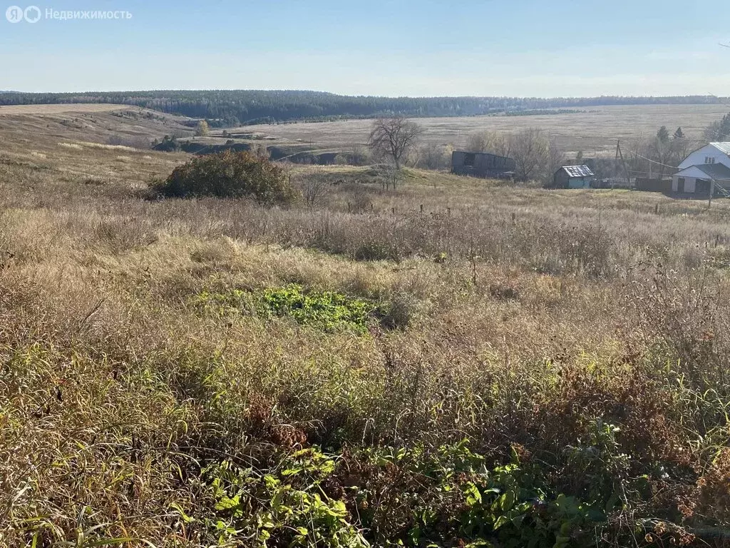 Участок в Бирский район, Силантьевский сельсовет, село Силантьево (11 ... - Фото 0