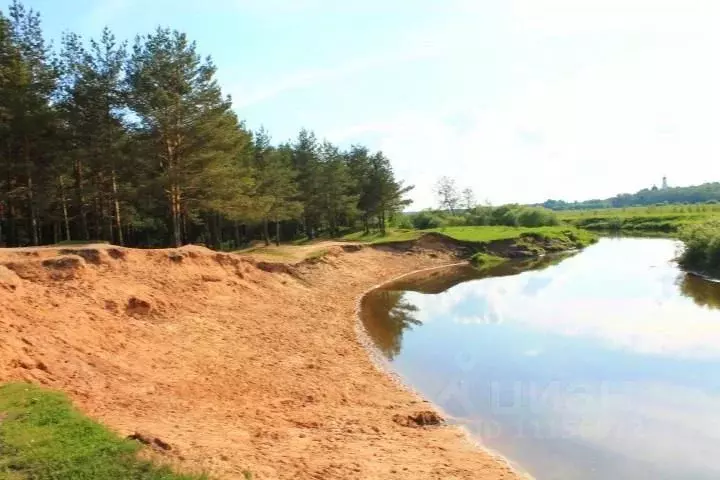 Участок в Владимирская область, Киржачский район, с. Филипповское  ... - Фото 0