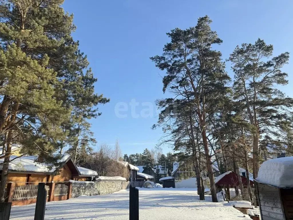 Участок в Новосибирская область, Бердск Бердский санаторий тер.,  ... - Фото 2