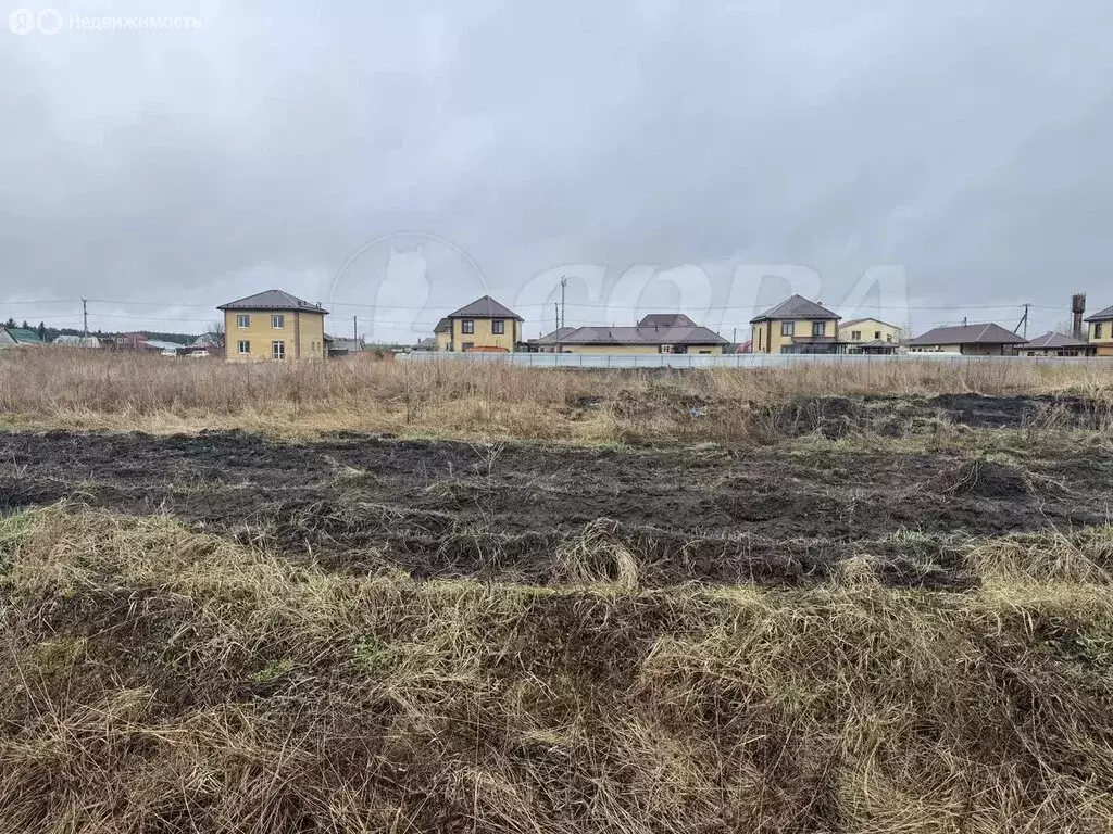 Участок в Тюменский район, деревня Падерина (11.2 м) - Фото 1