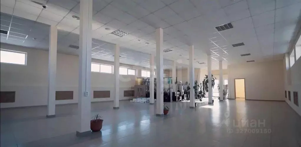 Помещение свободного назначения в Тюменская область, Тюмень Дамбовская ... - Фото 1