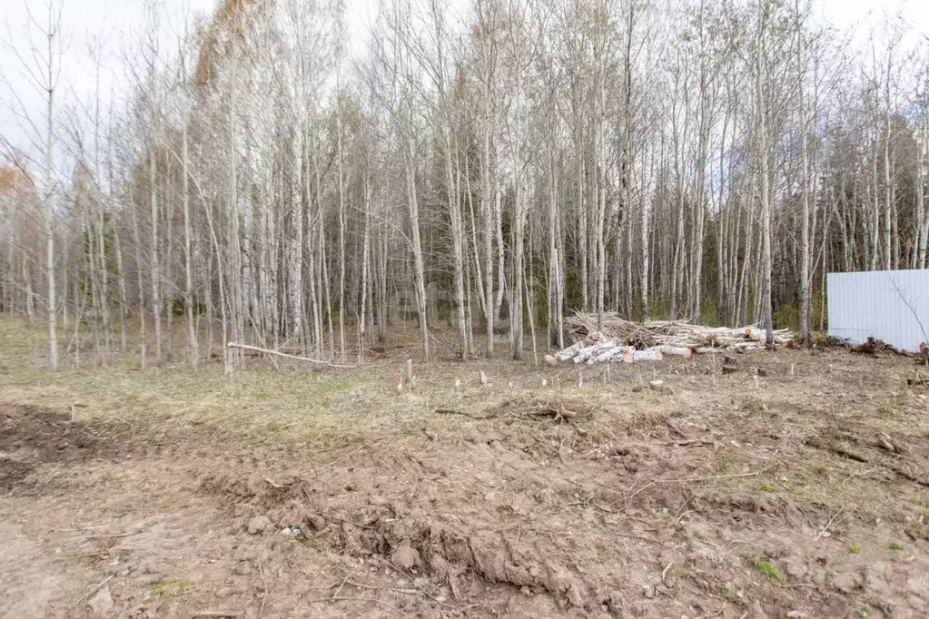 Участок в Тюменская область, Тобольск ул. Согласия (11.7 сот.) - Фото 0