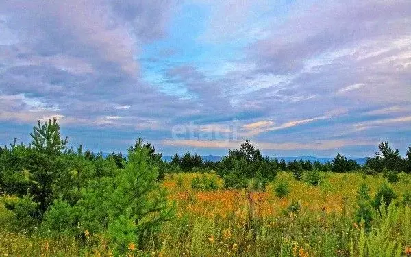 Участок в Ленинградская область, Волосовский район, Калитинское с/пос, ... - Фото 0