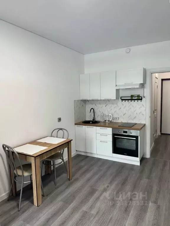 Студия Санкт-Петербург просп. Ветеранов, 198 (24.1 м) - Фото 1