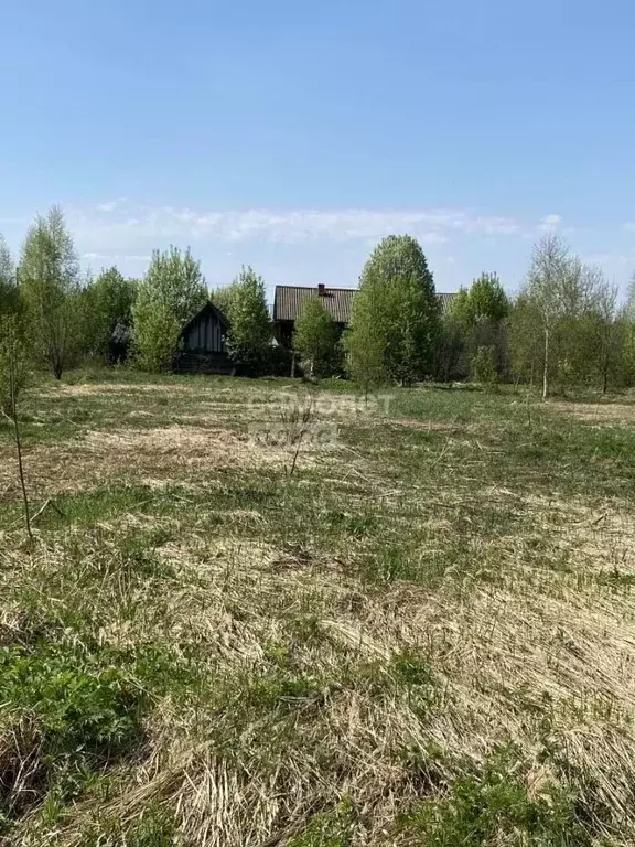 Участок в Марий Эл, Медведевский район, Нурминское с/пос, пос. Нужъялы ... - Фото 2